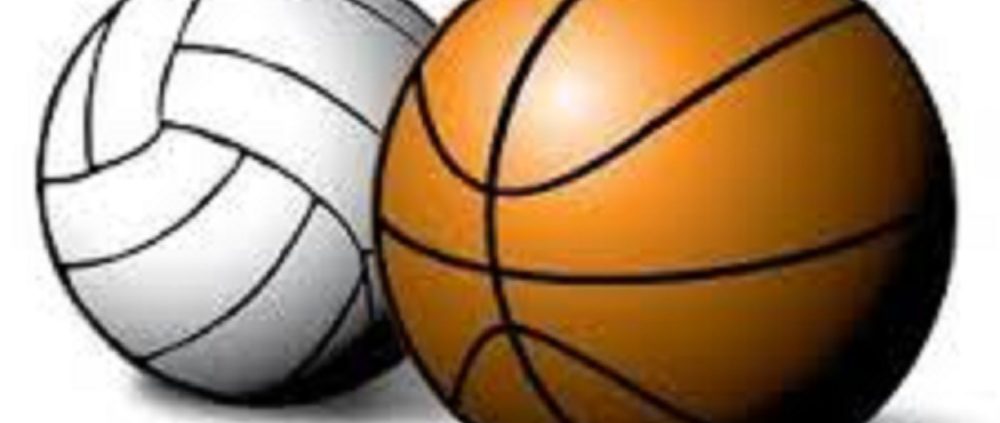 basket_volley_sito